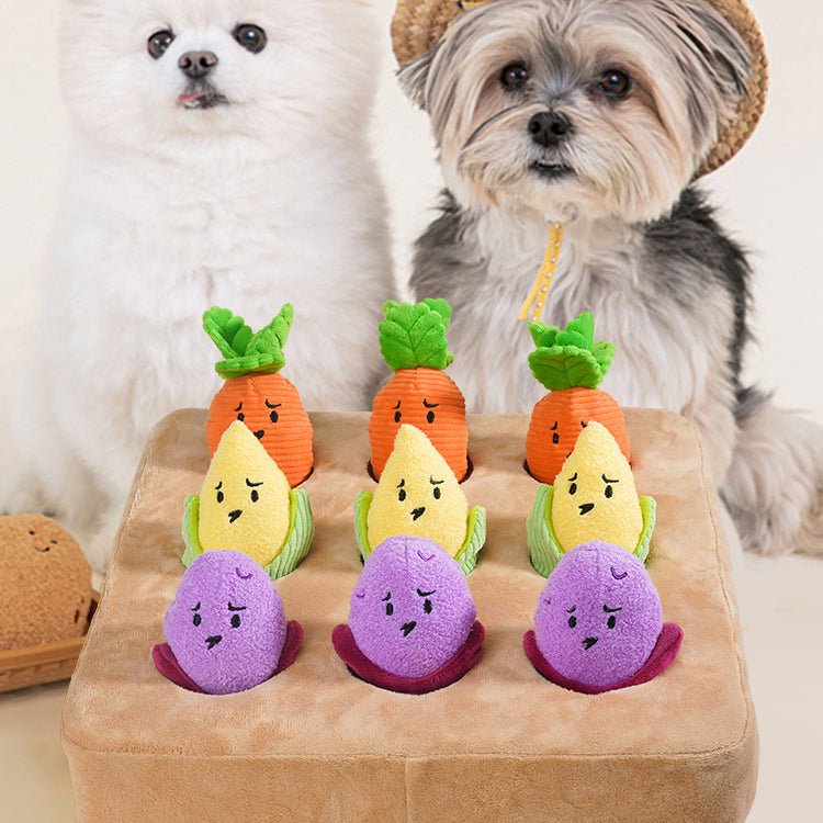 Vegetable Garden Snuffle Toy โ Squeaky Chew & Treat Hiding Plush Toy for Dogs
