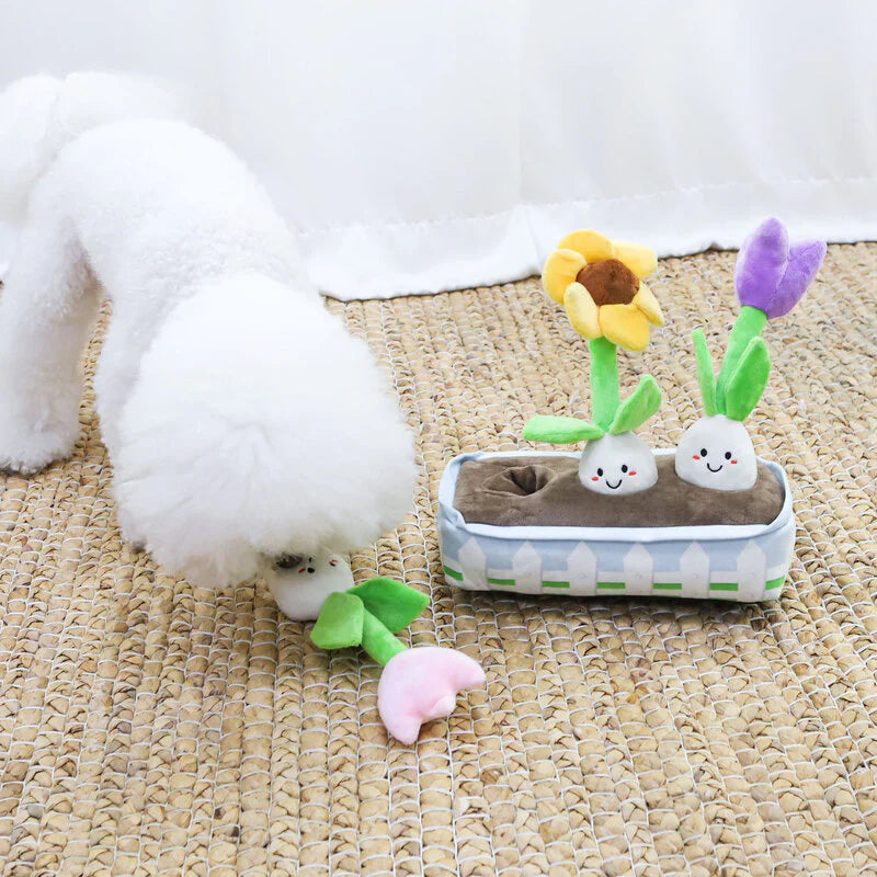 Valentine’s & Birthday Squeaky Plush & Snuffle Flower Dog Toy Set – Interactive Gift for Dogs