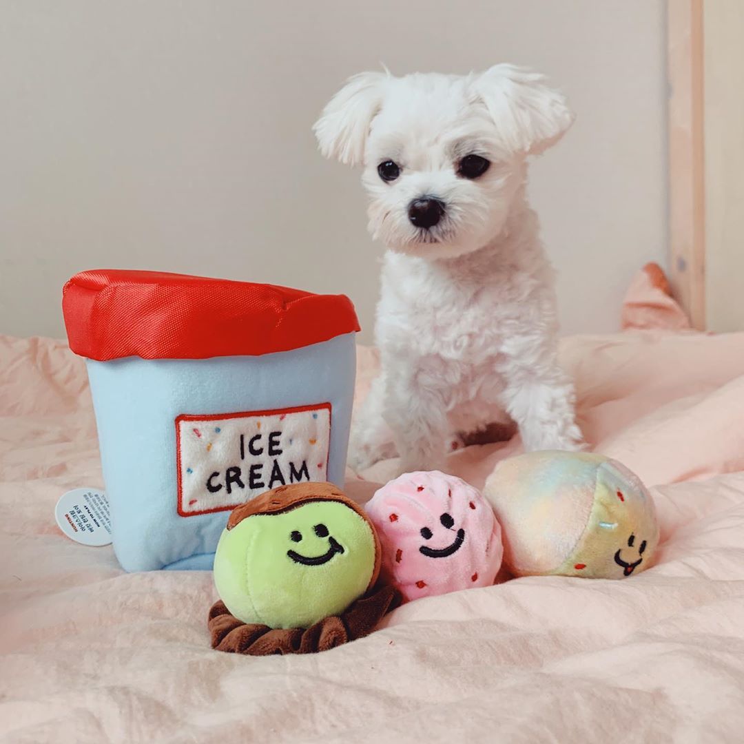 Ice Cream Bucket Dog Toy Set – Interactive Plush Crinkle Chew Toys with Luminous Ball & Hidden Treat Pocket