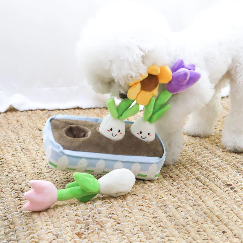 Valentine’s & Birthday Squeaky Plush & Snuffle Flower Dog Toy Set – Interactive Gift for Dogs
