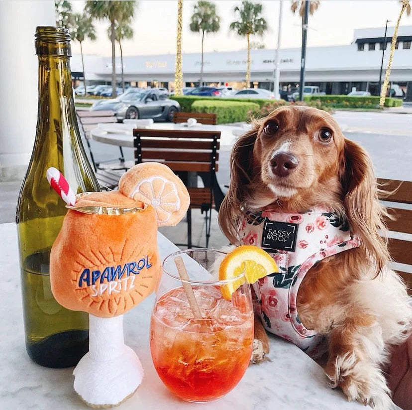 Apawrol Spritz Plush Dog Toy – Squeaky Cocktail Fun for Stylish Pups & Summer Vibes