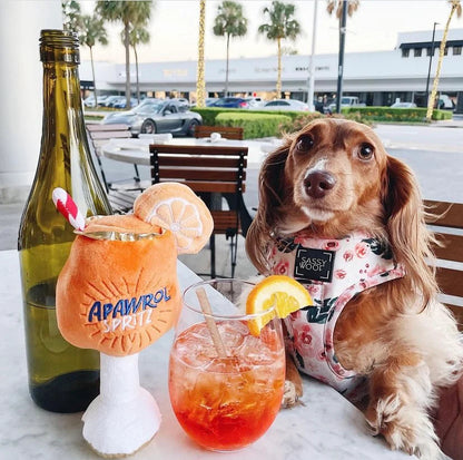 Apawrol Spritz Plush Dog Toy – Squeaky Cocktail Fun for Stylish Pups & Summer Vibes