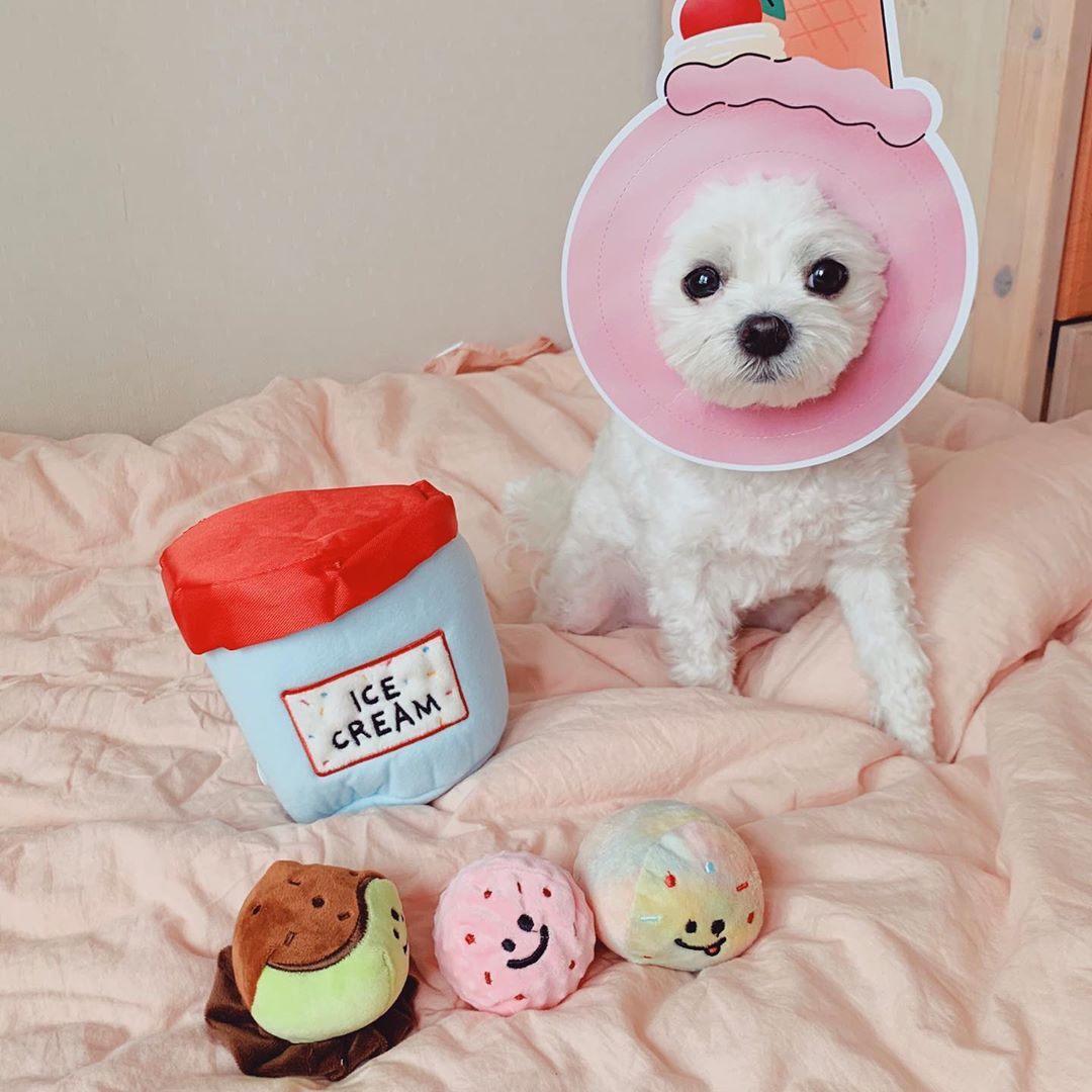 Ice Cream Bucket Dog Toy Set – Interactive Plush Crinkle Chew Toys with Luminous Ball & Hidden Treat Pocket